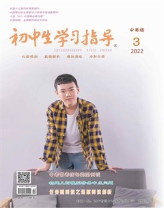 初中生学习指导·中考版