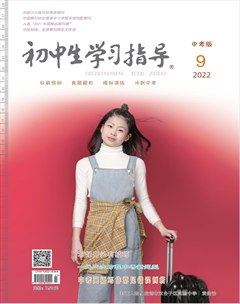 初中生学习指导·中考版