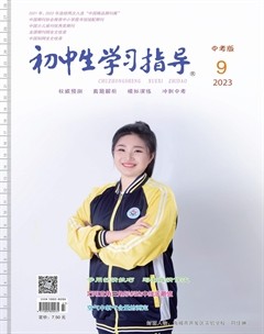 初中生学习指导·中考版