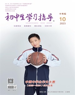 初中生学习指导·中考版