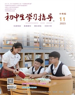 初中生学习指导·中考版