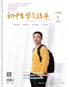 初中生学习指导·中考版