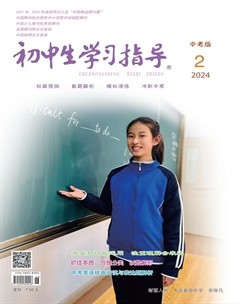 初中生学习指导·中考版