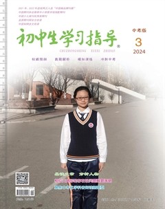 初中生学习指导·中考版