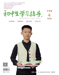 初中生学习指导·中考版