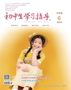 初中生学习指导·中考版