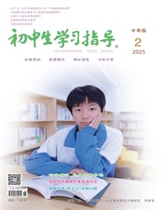 初中生学习指导·中考版