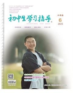 初中生學(xué)習(xí)指導(dǎo)·中考版