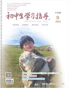 初中生学习指导·中考版