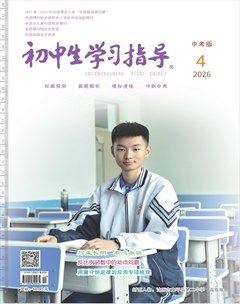 初中生学习指导·中考版