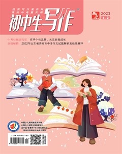 初中生写作