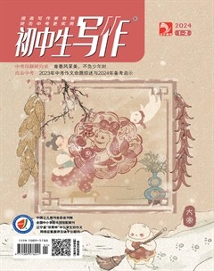 初中生写作