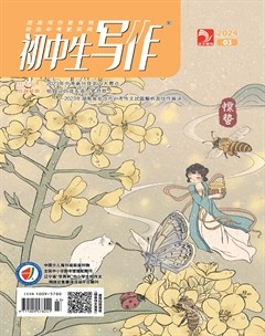 初中生写作