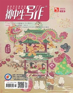 初中生写作