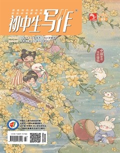 初中生写作