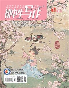 初中生写作
