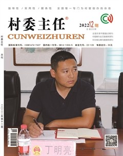 村委主任