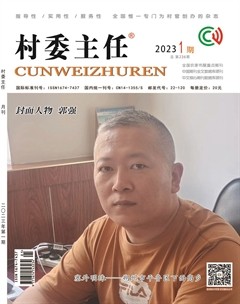 村委主任