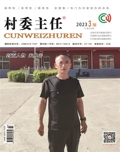 村委主任