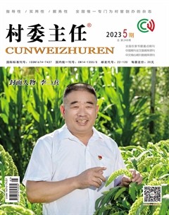 村委主任
