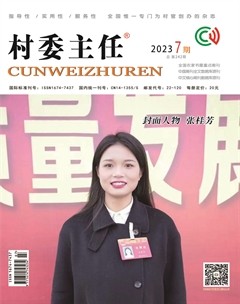 村委主任