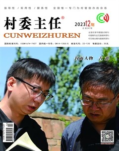 村委主任