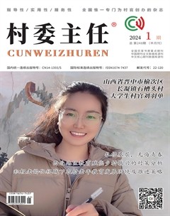 村委主任
