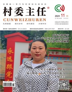 村委主任