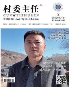 村委主任