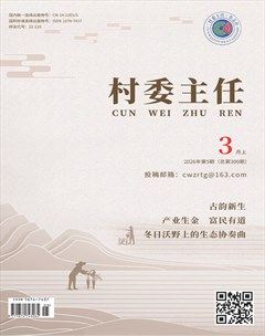 村委主任