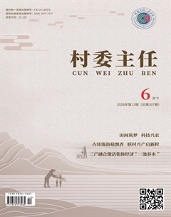 村委主任