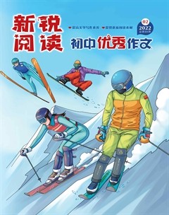 新锐阅读·初中高分作文