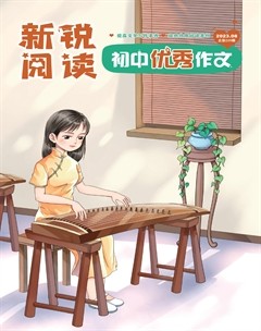 新锐阅读·初中高分作文