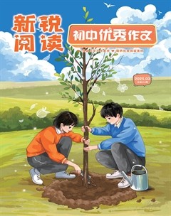 新锐阅读·初中高分作文