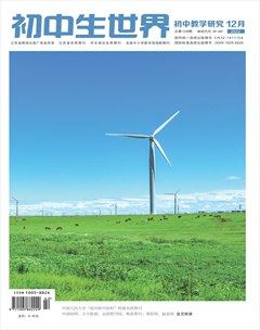 初中生世界·初中教学研究