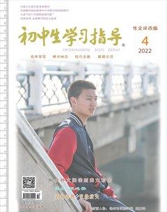 初中生學習指導·作文評改版
