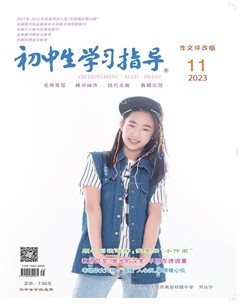 初中生学习指导·作文评改版