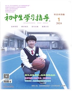 初中生学习指导·作文评改版