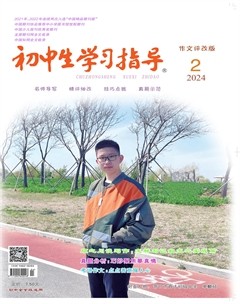 初中生学习指导·作文评改版