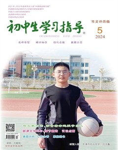 初中生学习指导·作文评改版