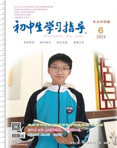 初中生学习指导·作文评改版