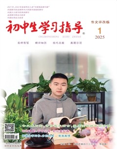 初中生学习指导·作文评改版