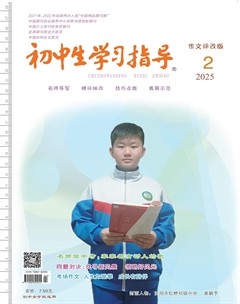 初中生学习指导·作文评改版