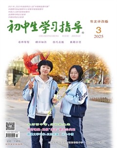初中生学习指导·作文评改版