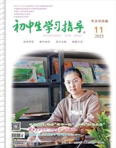 初中生学习指导·作文评改版