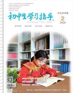 初中生学习指导·作文评改版
