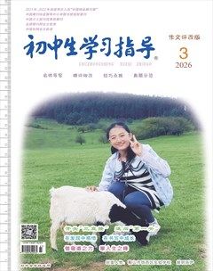 初中生学习指导·作文评改版