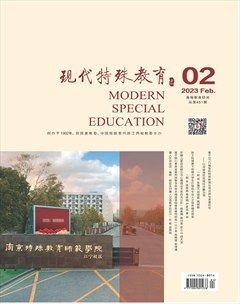 现代特殊教育
