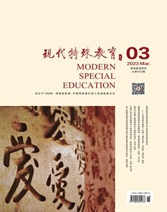 現(xiàn)代特殊教育