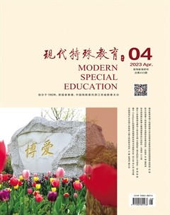 現(xiàn)代特殊教育
